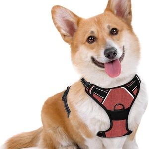Small Barkbay no pull harness